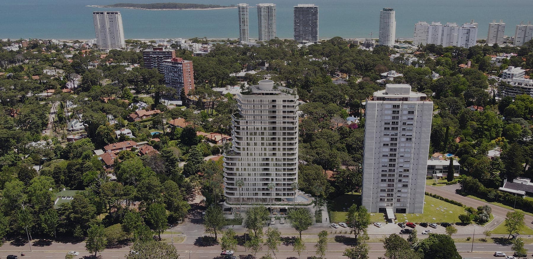 Wave Roosevelt — imagen 3