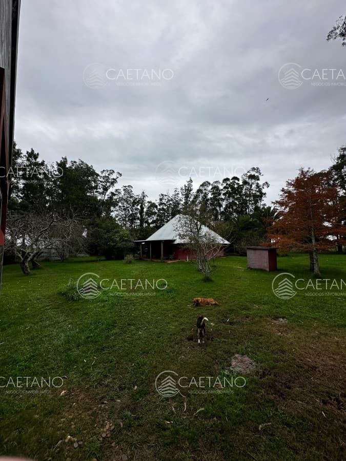 Chacra en venta en Los Ceibos, San Carlos. — foto 3