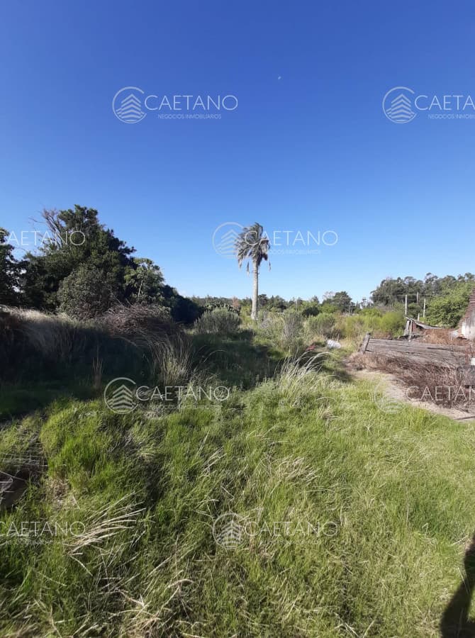 Casa en venta en San Carlos — foto 3