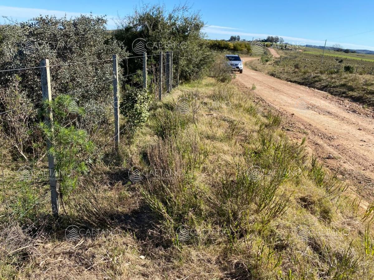 En venta, chacra con vistas panorámicas y monte nativo !!! — foto 3