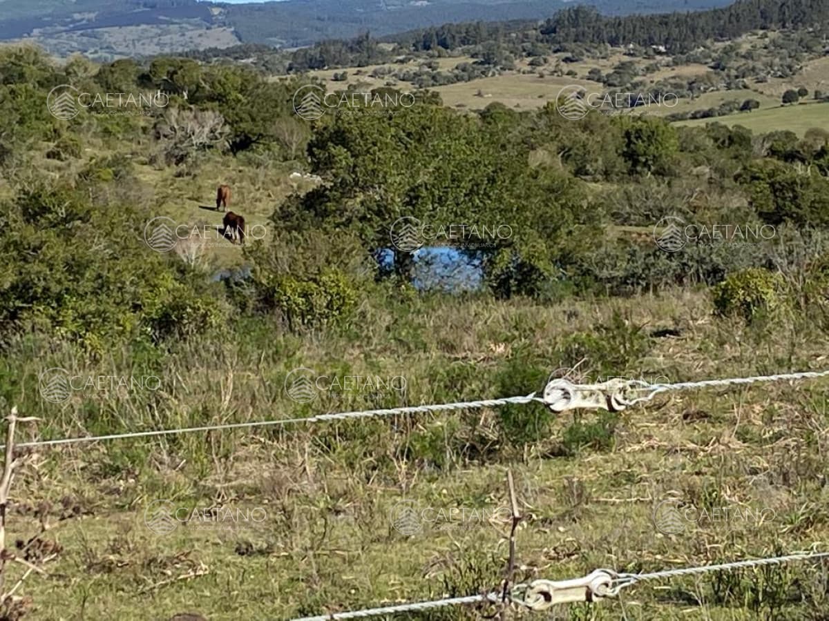 En venta, chacra con vistas panorámicas y monte nativo !!! — foto 2