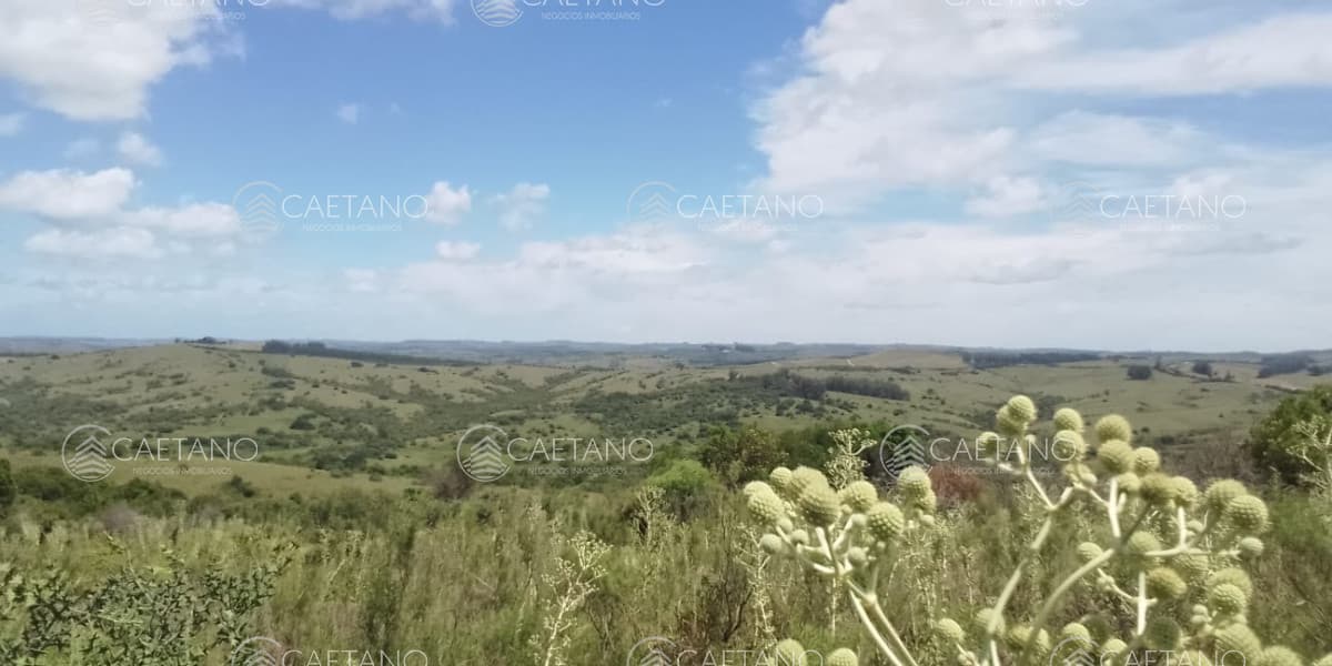 36 Has buenas vistas, aptas para fraccionar