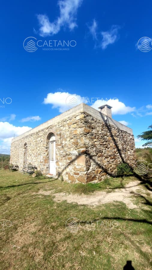 Muy linda casa de piedra, 9 has en las sierras y con 500 olivos — foto 3