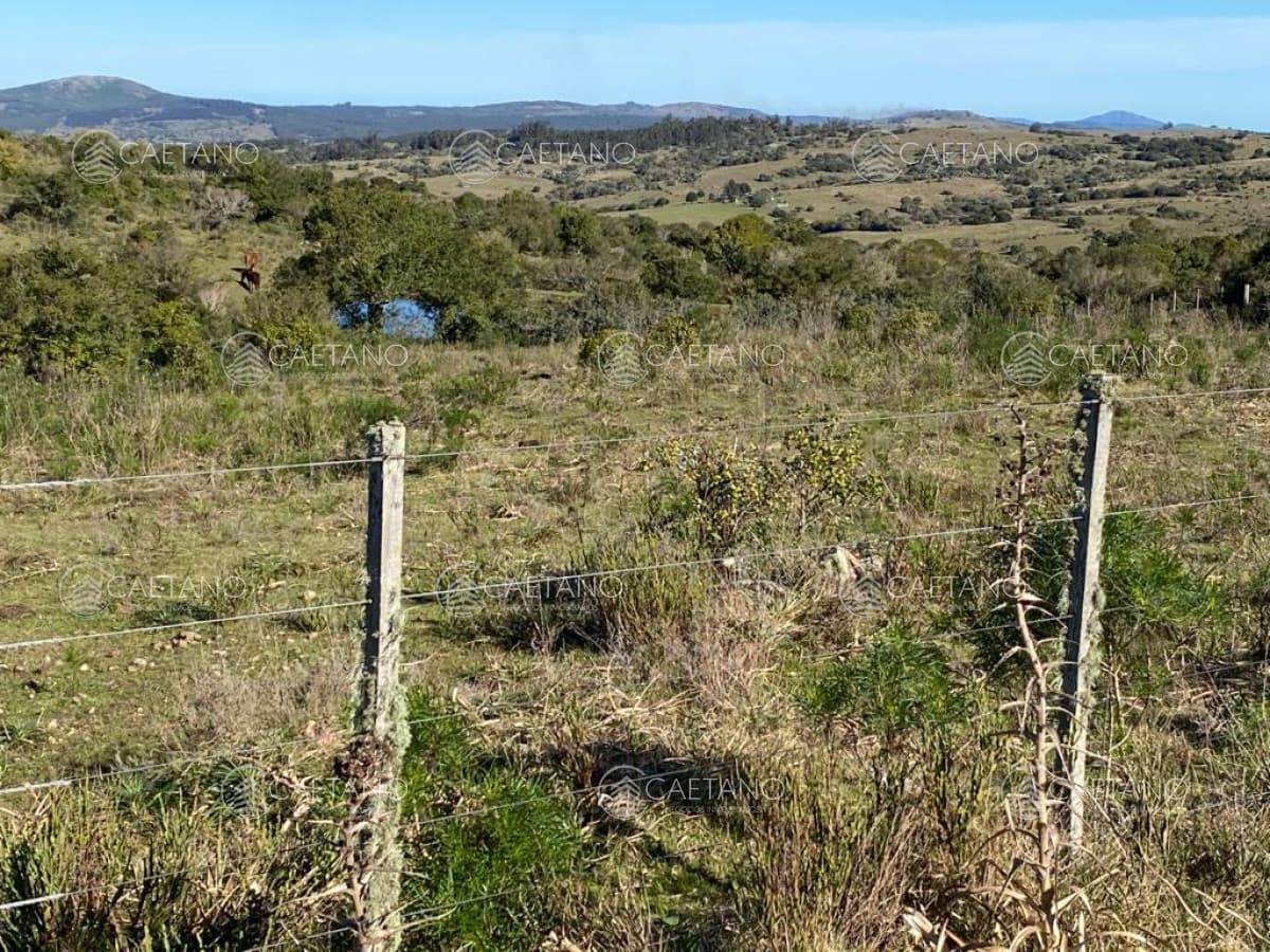 En venta, chacra con vistas panorámicas y monte nativo !!!