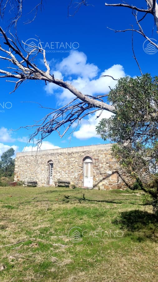 Muy linda casa de piedra, 9 has en las sierras y con 500 olivos