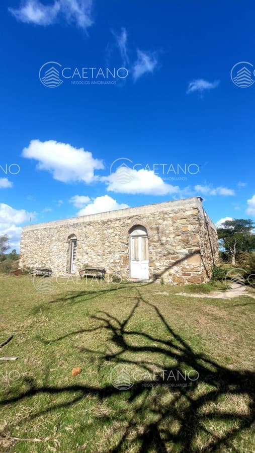 Muy linda casa de piedra, 9 has en las sierras y con 500 olivos — foto 2