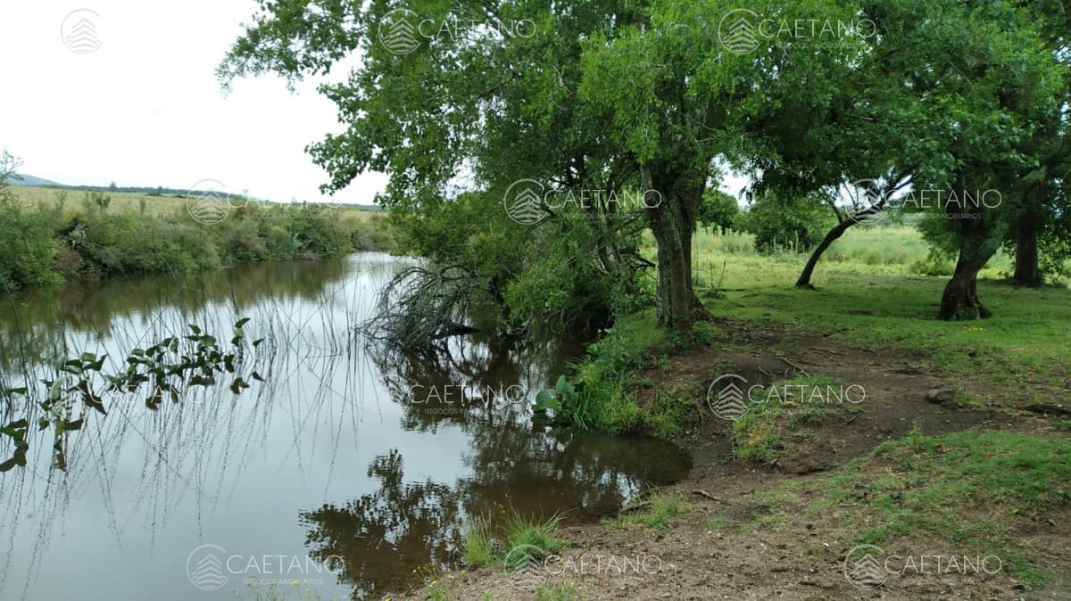 Chacra en venta, San Carlos, zona Partido Norte — foto 2