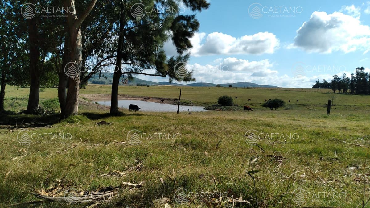 Chacra en venta, San Carlos, zona Partido Norte — foto 3