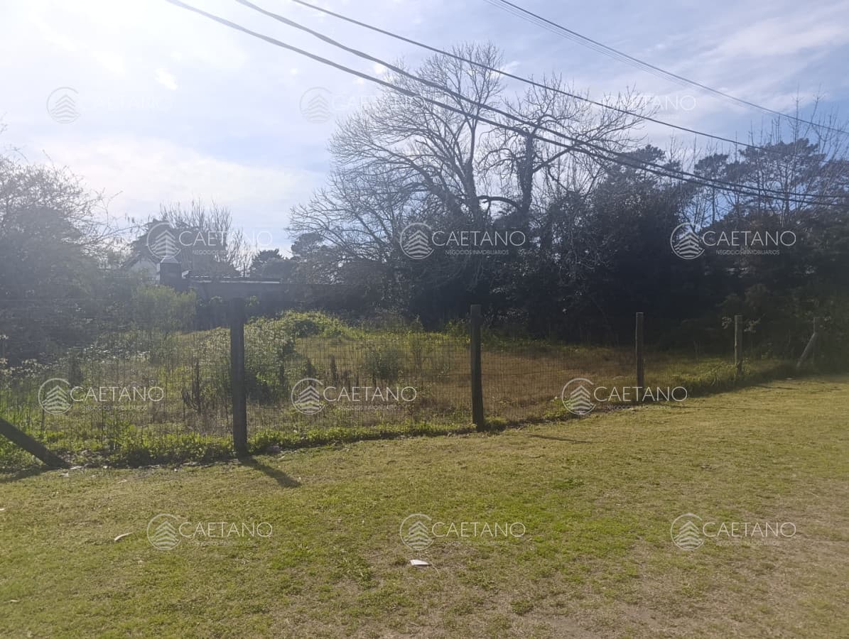 Terreno en Venta Avda Córdoba - Maldonado — foto 3