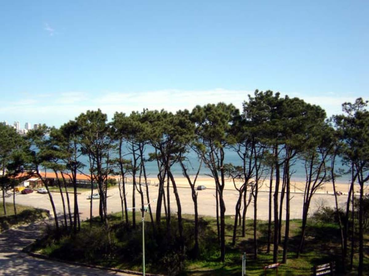 Apartamento en alquiler en Punta del Este