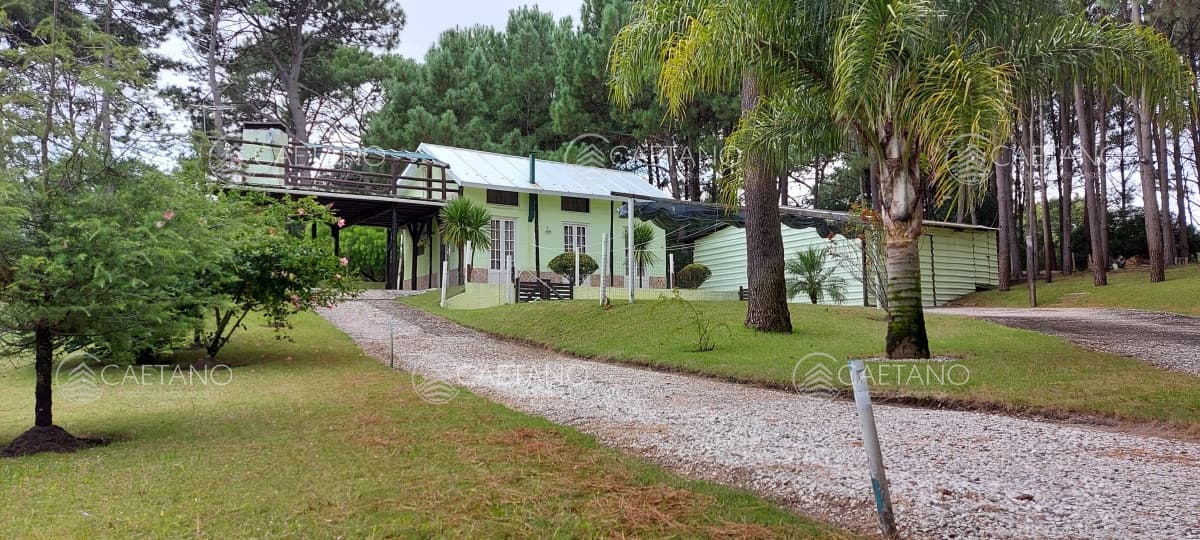 Casa en alquiler en Punta Ballena