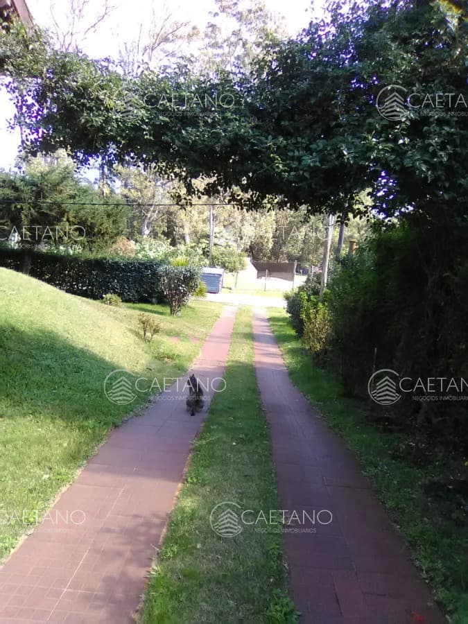 Casa en alquiler en Punta Ballena — foto 2