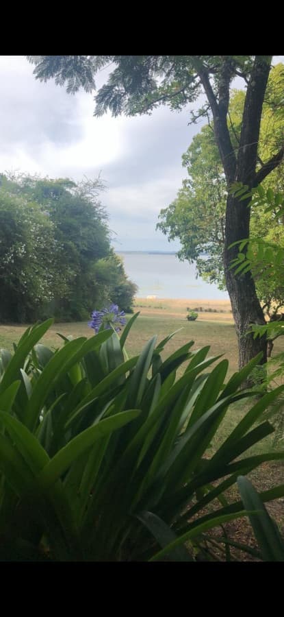 Casa en alquiler en Punta Ballena