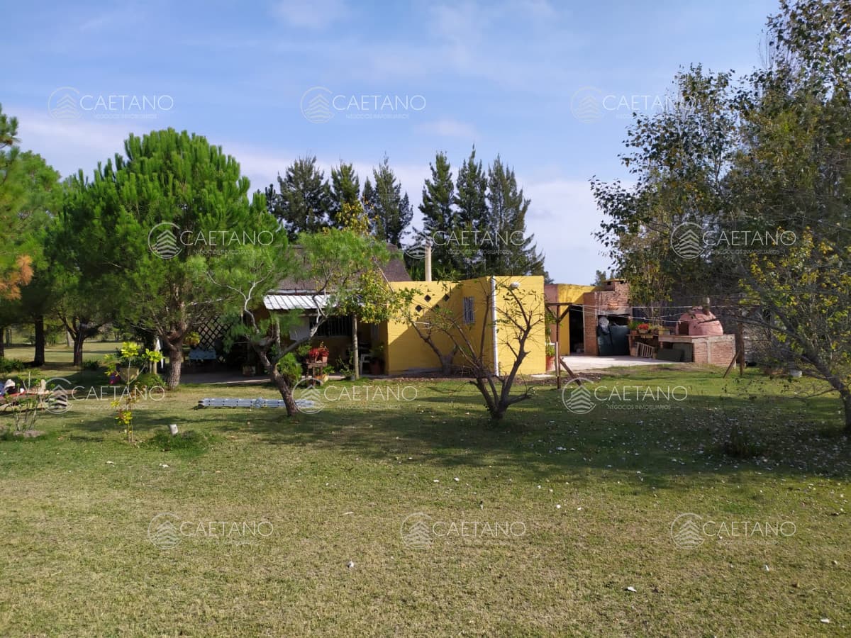 Chacra en oportunidad