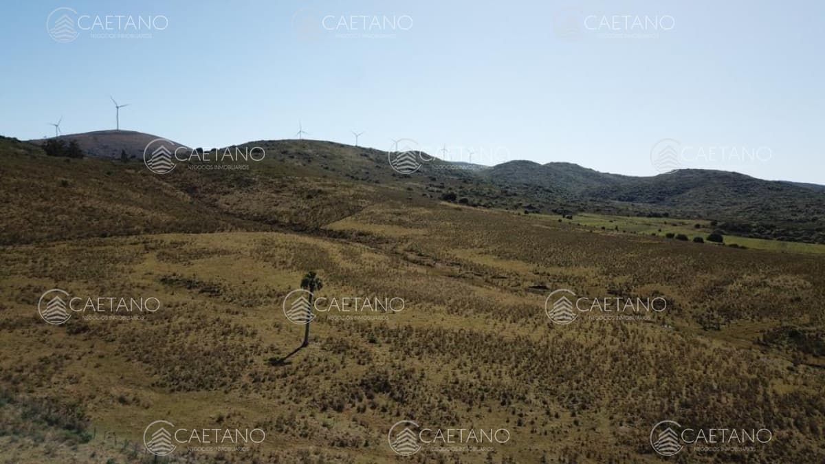 Venta chacras 5 has Sierra de los Caracoles — foto 2