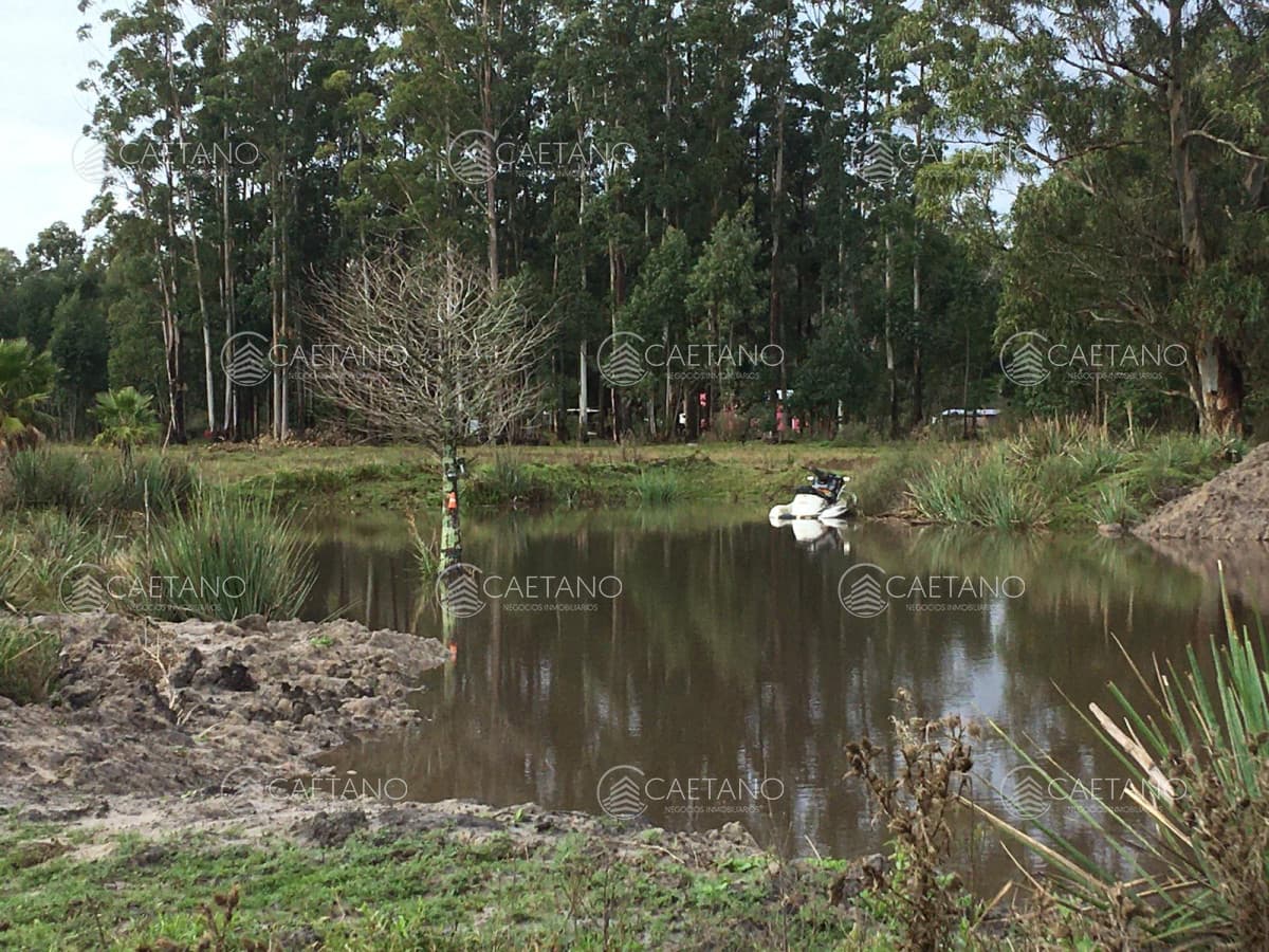 Chacra en La Pataia - Punta Ballena — foto 3