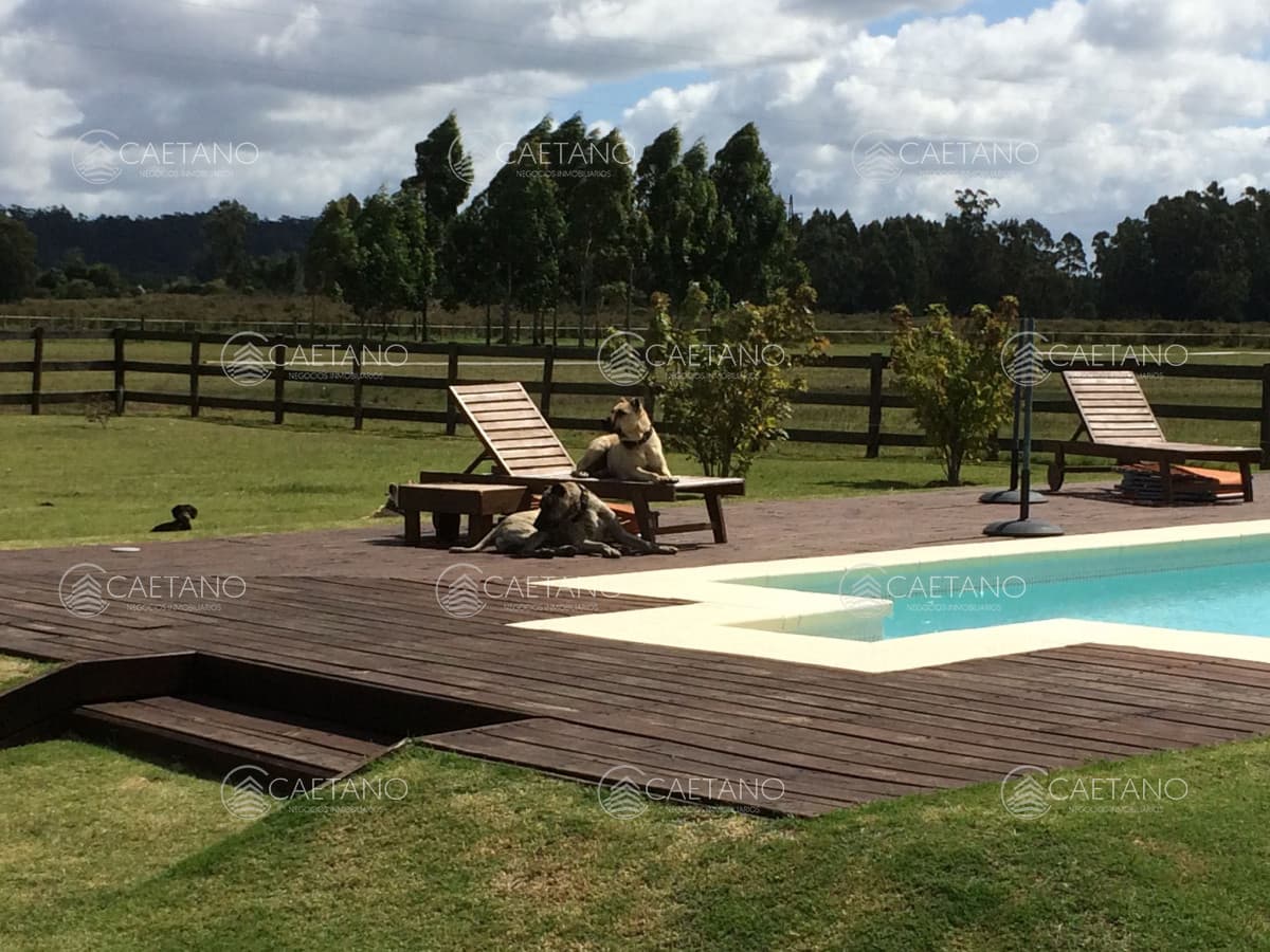 Casa en venta en Punta Ballena — foto 3