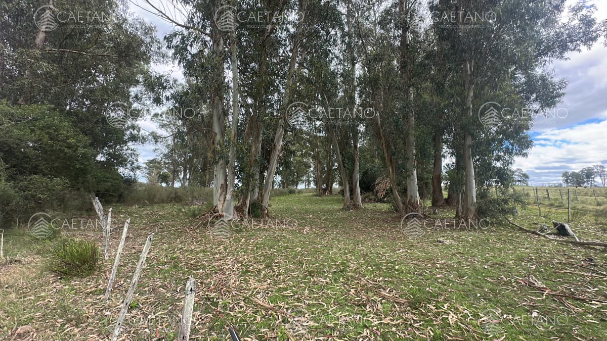 Venta chacra km 116 ruta 9. Cerca de Pan de azúcar — foto 2