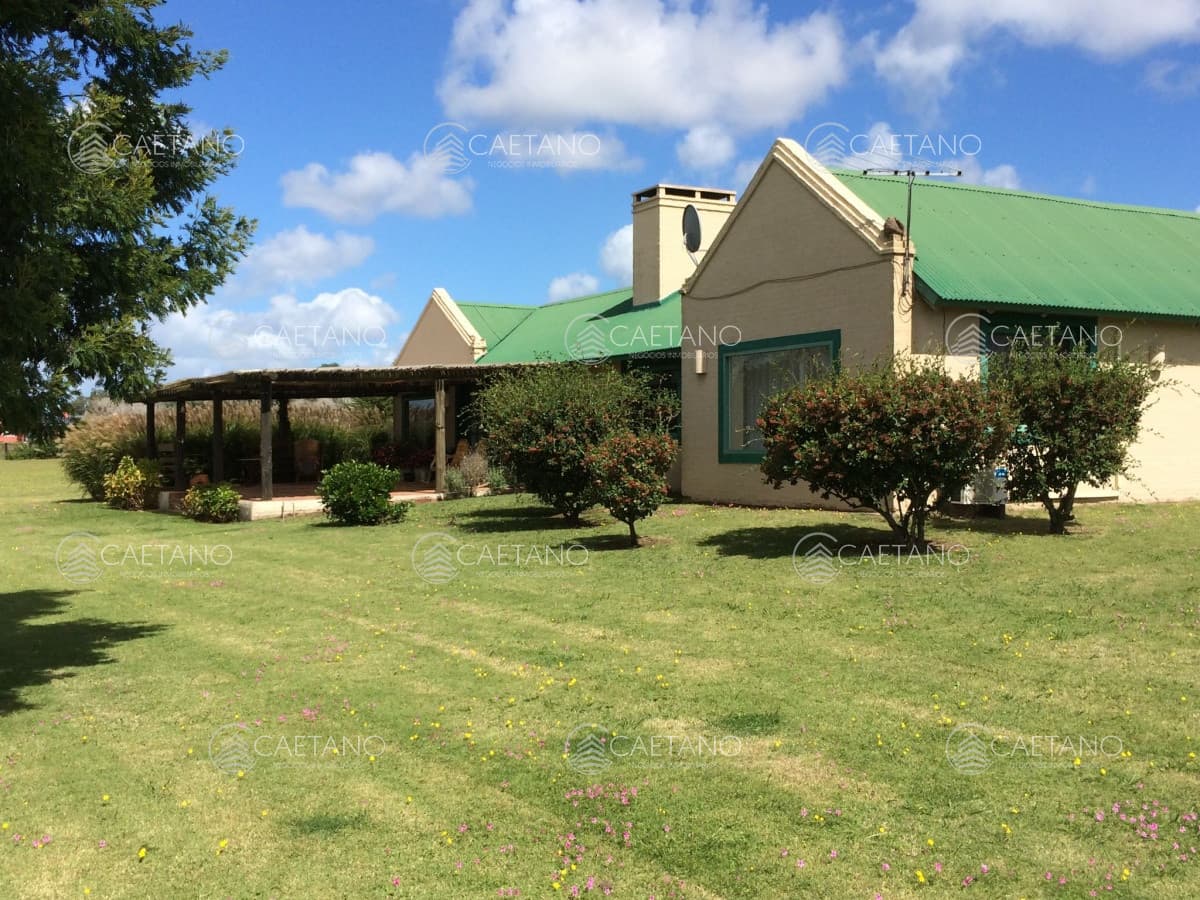Casa en venta en Punta Ballena