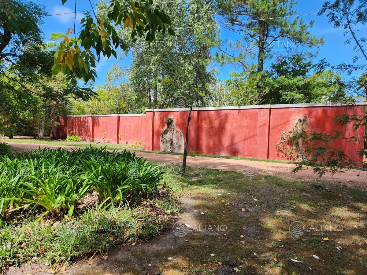 Venta chacra tipo quinta, Punta Ballena — foto 3