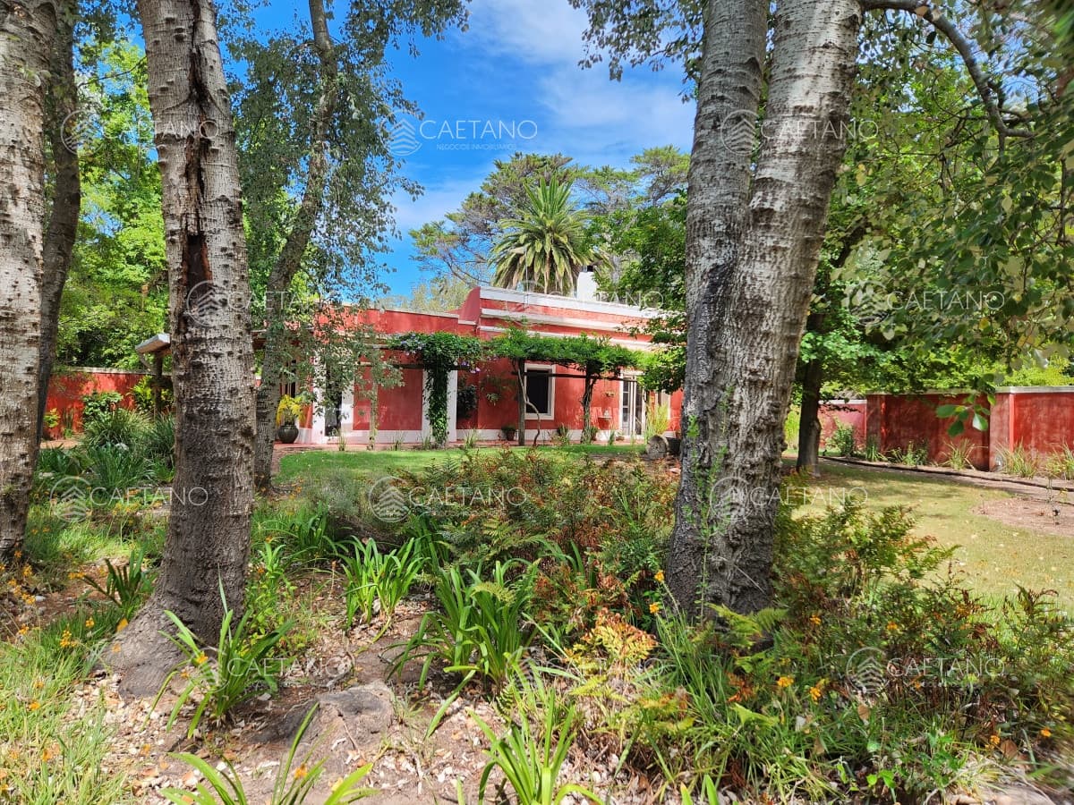 Venta chacra tipo quinta, Punta Ballena — foto 2