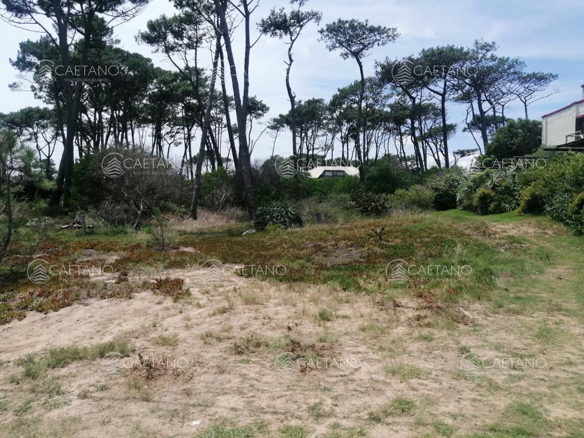Venta terreno Chihuhua. Punta del Este. — foto 3