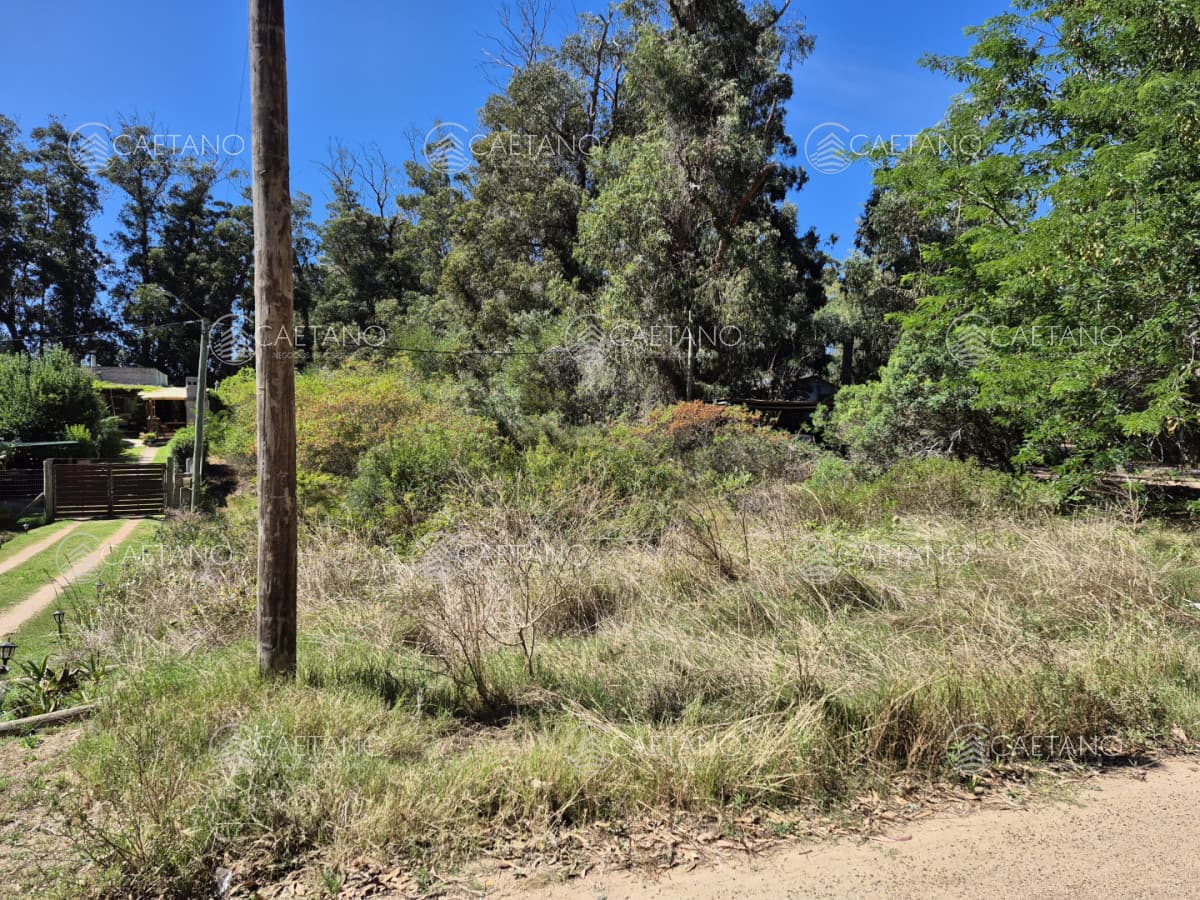 Lote ocean parck — foto 3