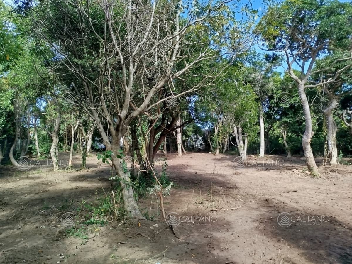 Hermoso terreno