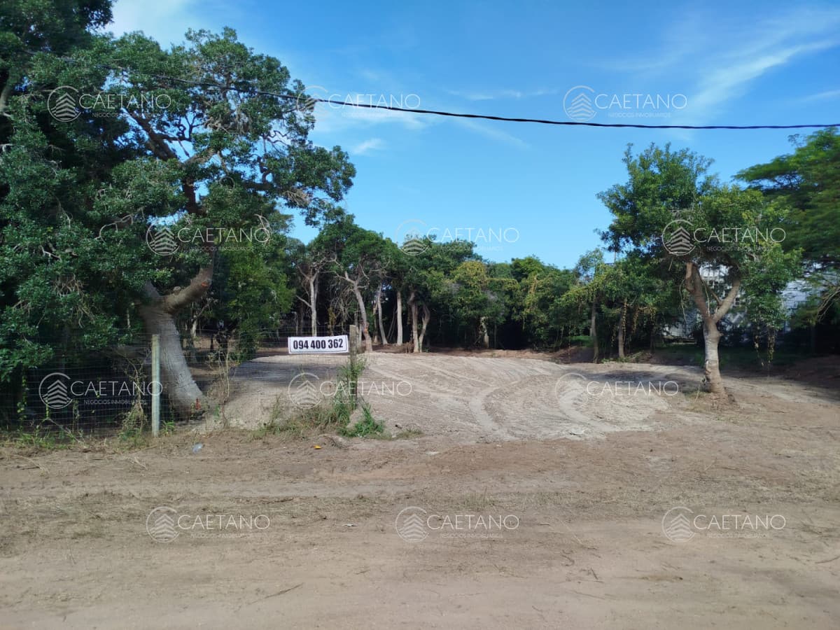 Hermoso terreno — foto 2