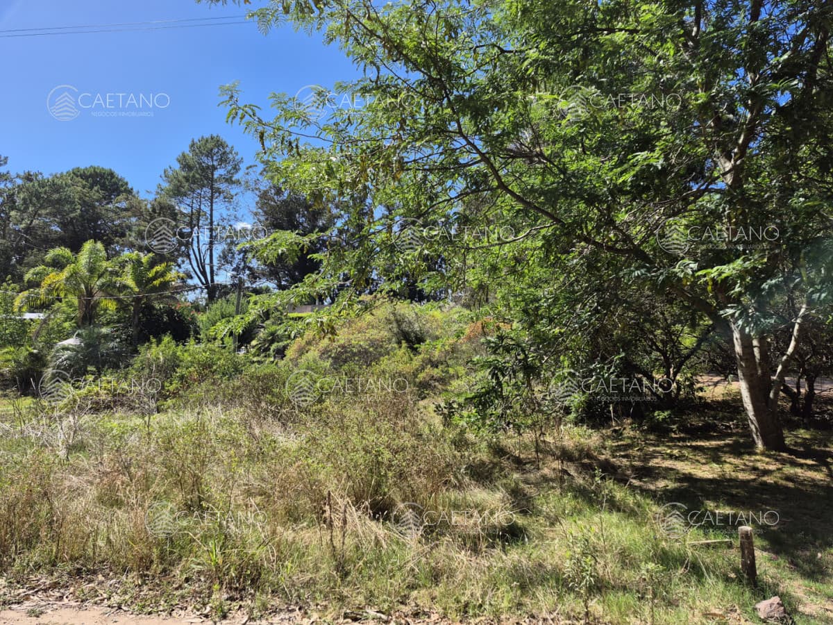 Lote ocean parck