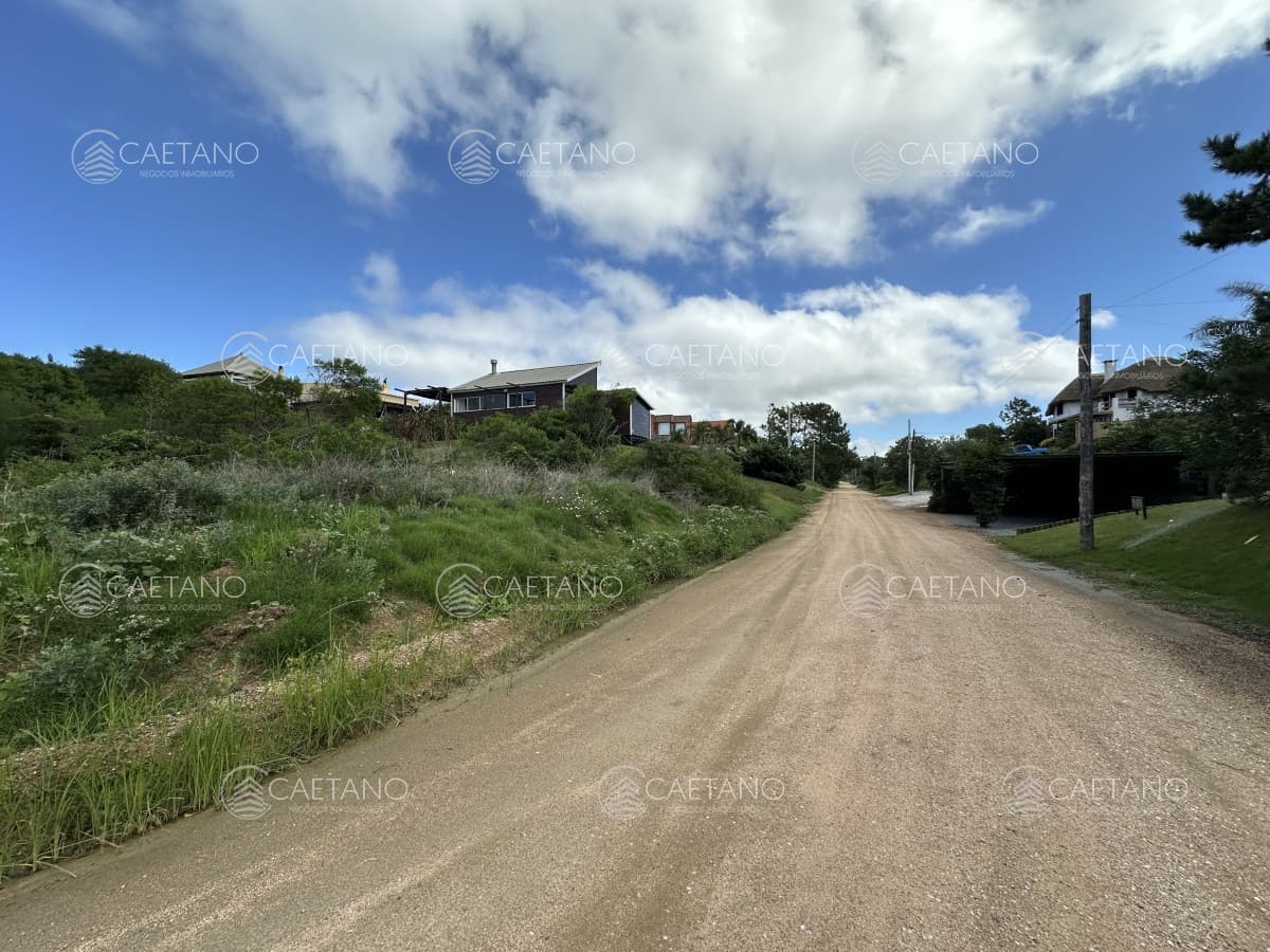 Lote tío tom — foto 3