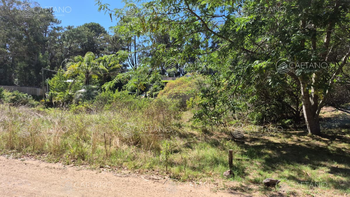 Lote ocean parck — foto 2