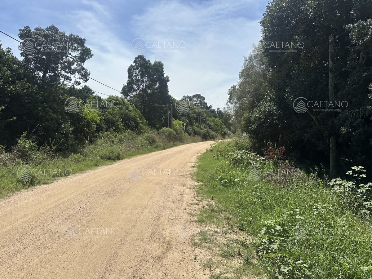 Hermoso terreno — foto 3