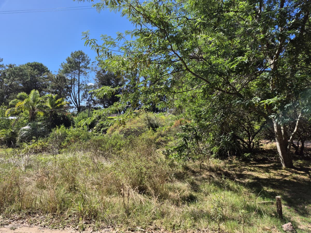 Lote ocean parck
