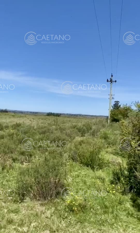 Hermosa Chacra de 12 hectáreas en ubicación privilegiada a 25 minutos de Punta del Este — foto 3