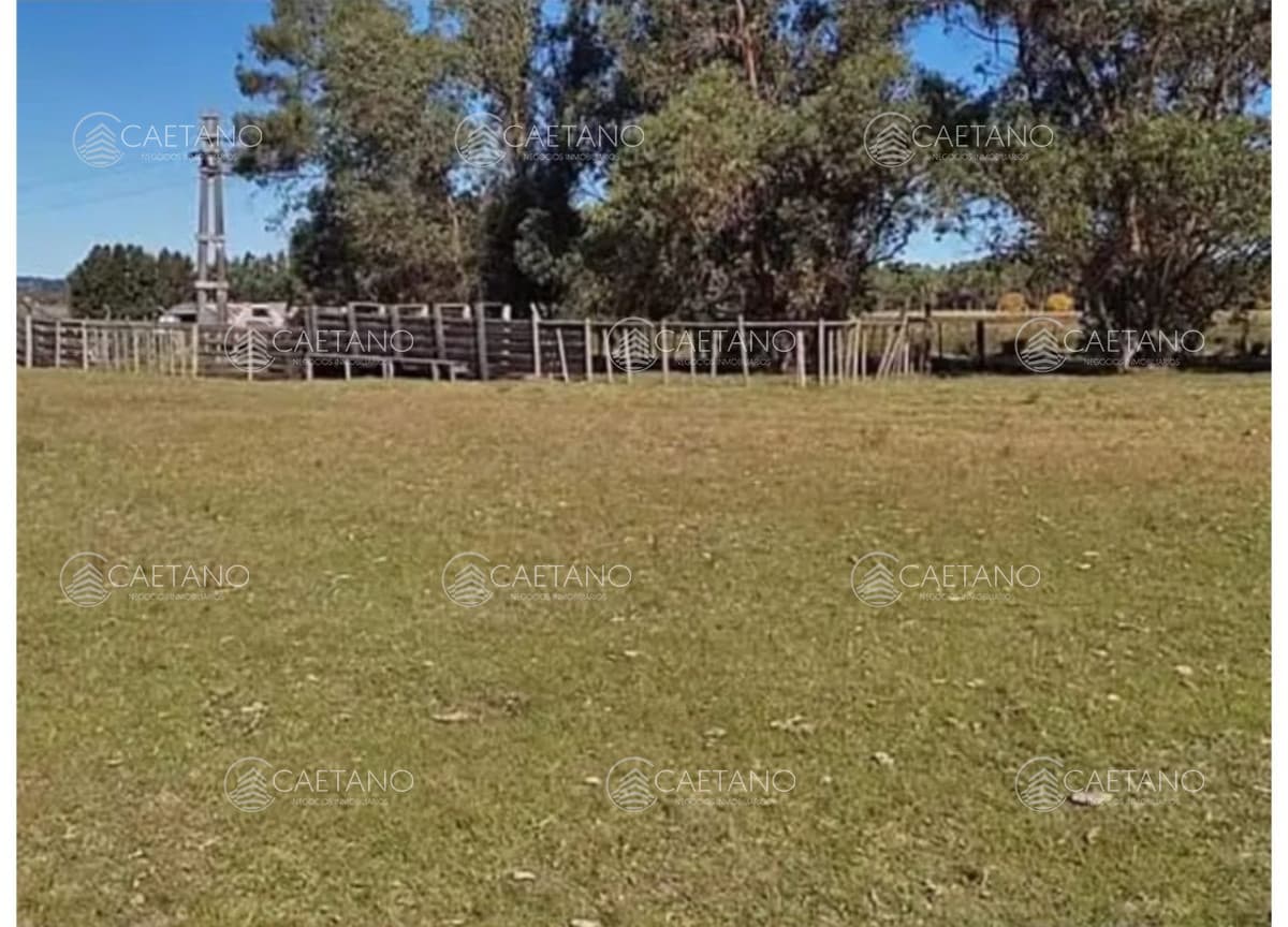 Terreno en alquiler en San Carlos — foto 2