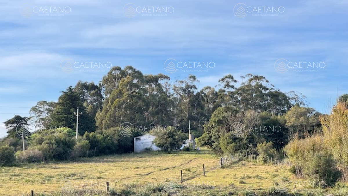 Campo de 4 has 1602 m2 muy cerca de ruta 12 y la 9. — foto 3