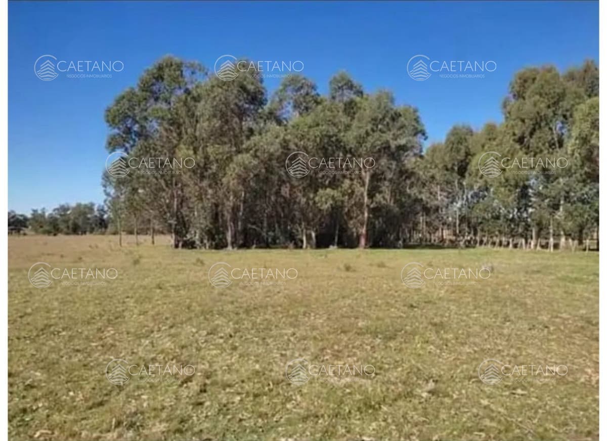 Terreno en alquiler en San Carlos