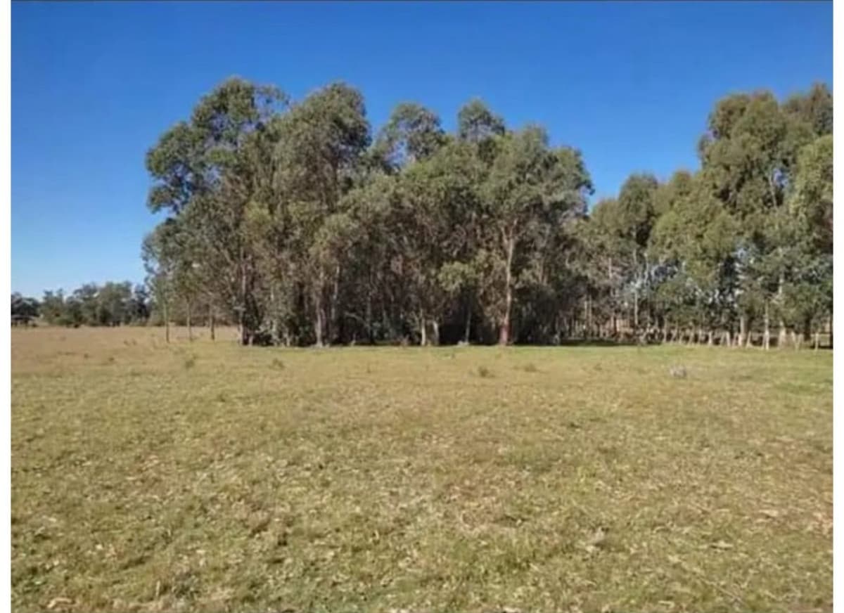 Terreno en alquiler en San Carlos
