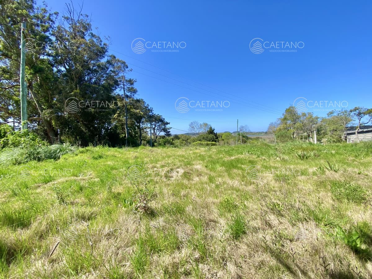 Terreno, Venta, Piedras del Chileno, Punta del Este — foto 2
