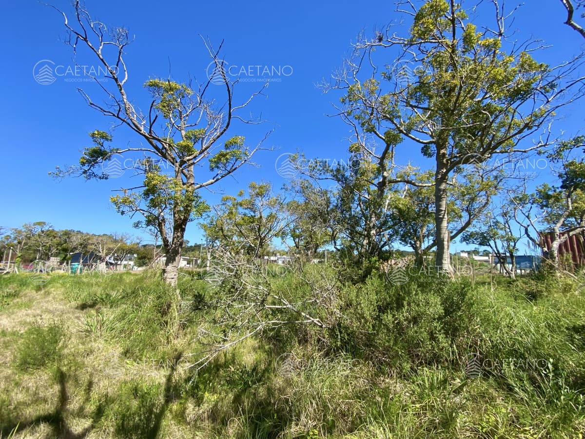 Terreno, Venta, Piedras del Chileno, Punta del Este — foto 3