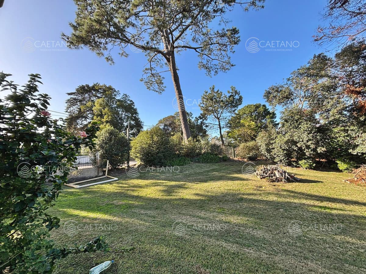 CASA DE 4 DORMITORIOS EN CANTEGRIL — foto 3