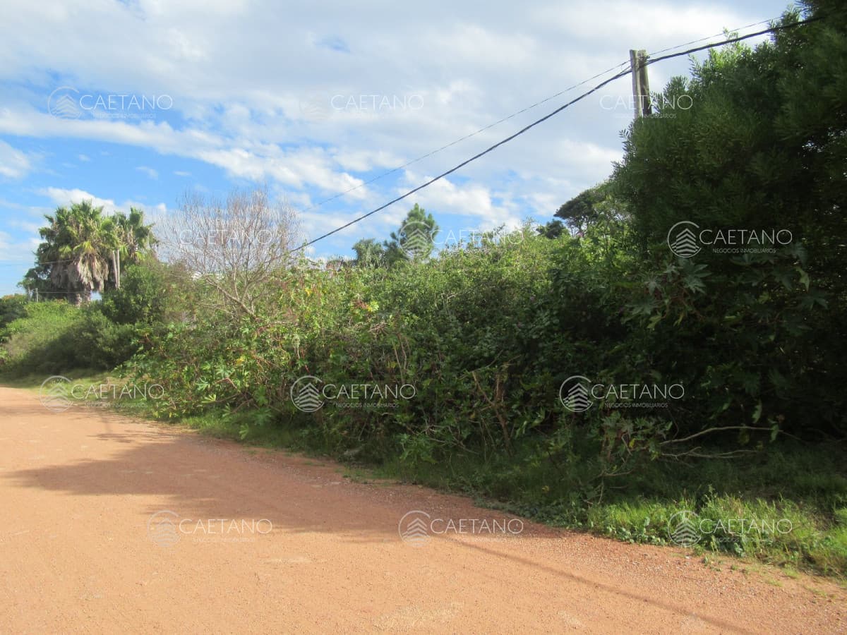 Terreno apto para construcción en propiedad horizontal — foto 3