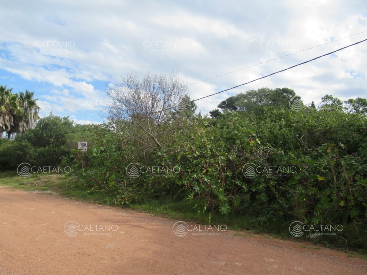 Terreno apto para construcción en propiedad horizontal — foto 2