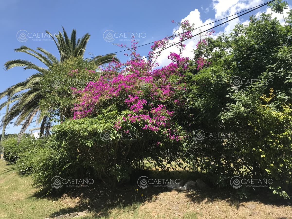 Casa en primera linea, El tesoro/La Barra — foto 2