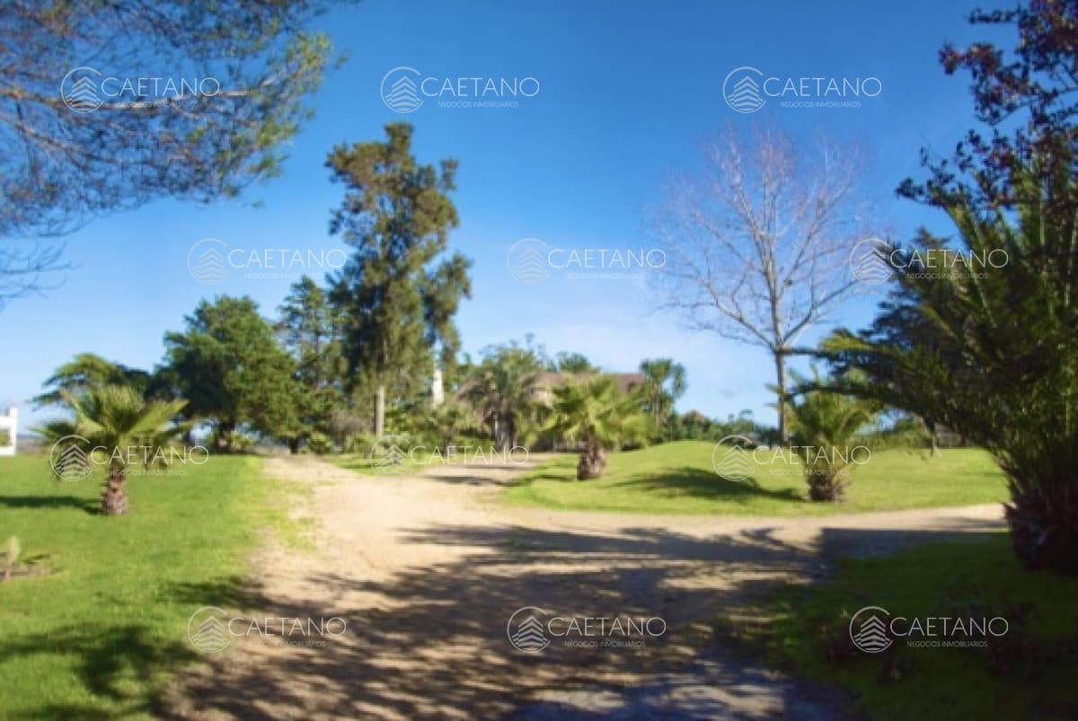 Chacra importante en R. 39 con 700 m2. construidos — foto 3