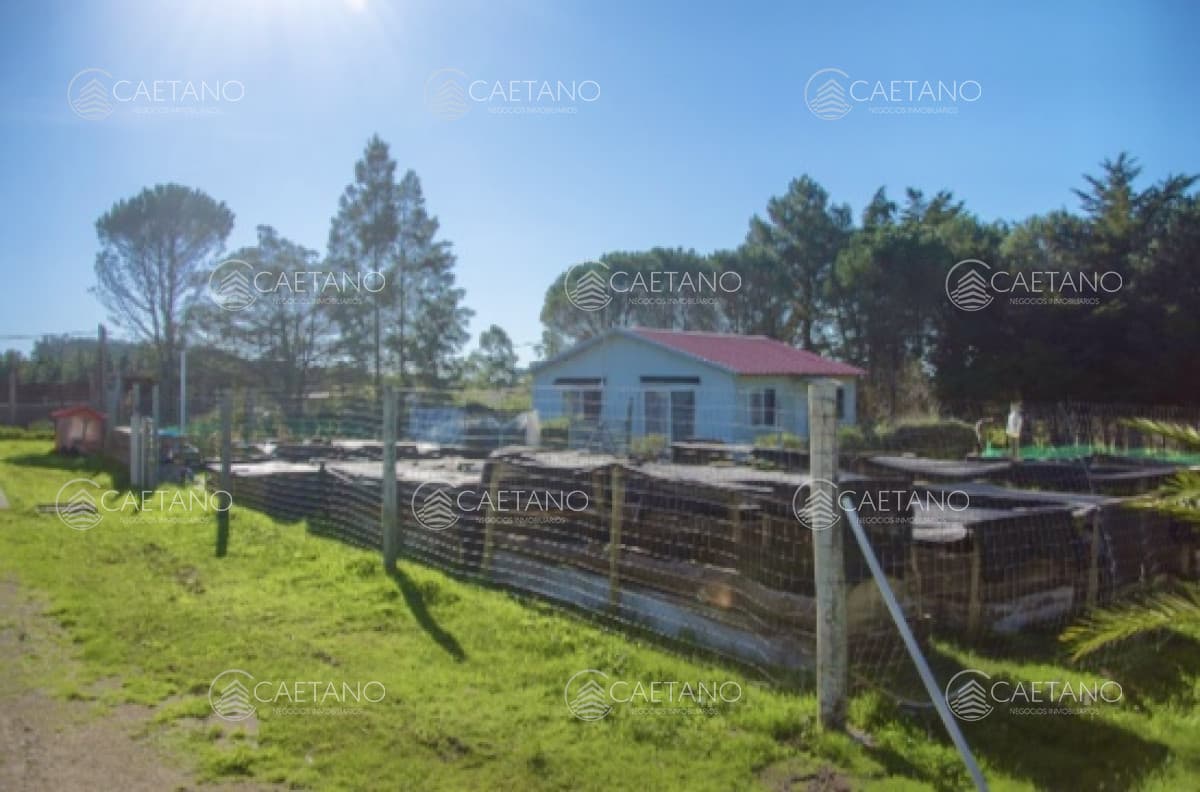 Chacra importante en R. 39 con 700 m2. construidos — foto 2