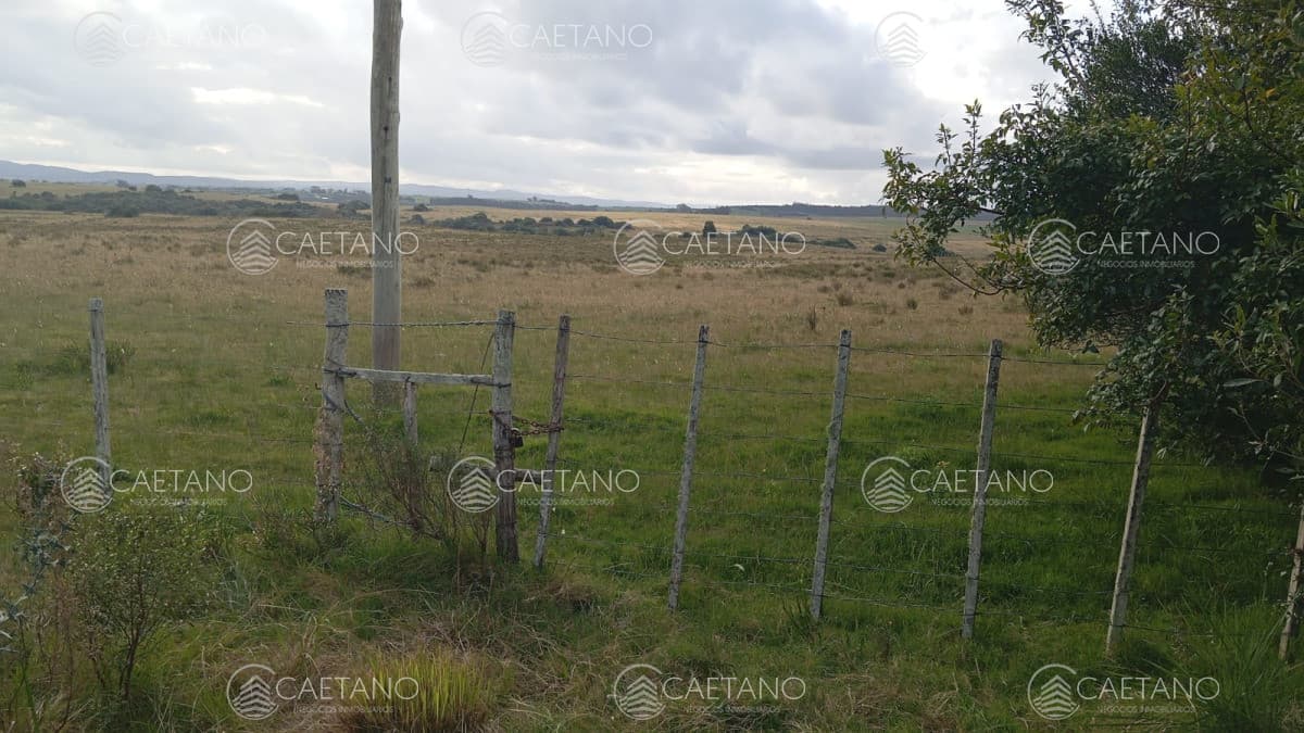 Garzón (campo turístico) — foto 2