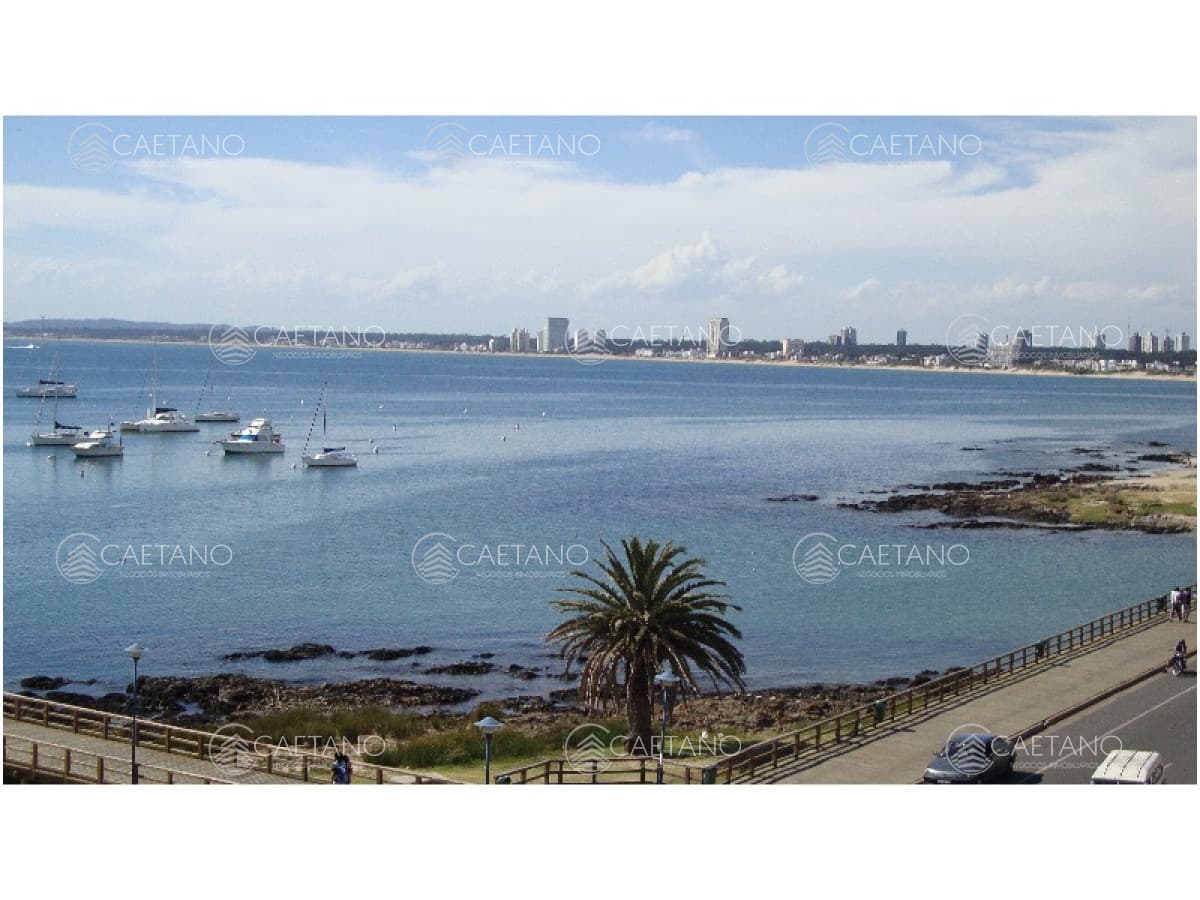 Apartamento en alquiler en Punta del Este