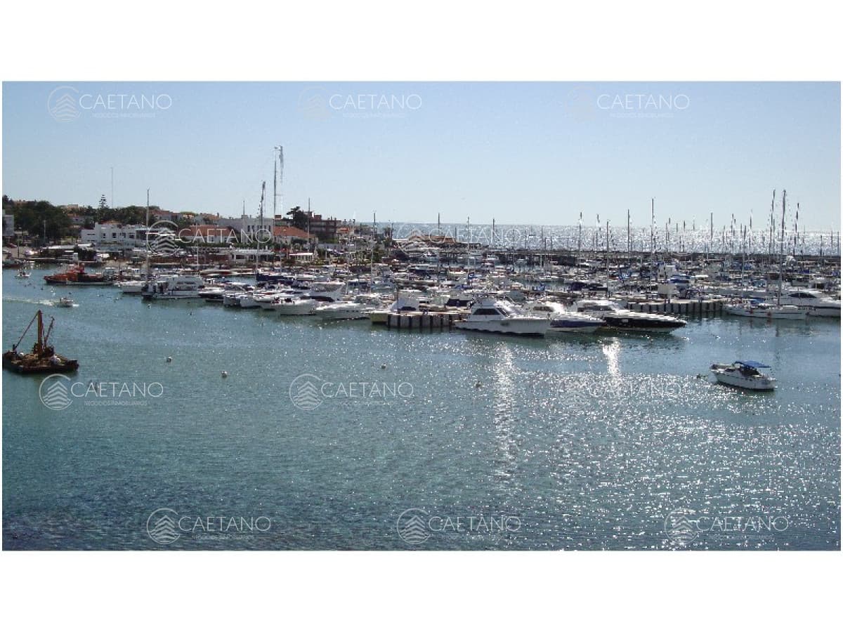 Apartamento en alquiler en Punta del Este — foto 3
